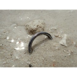 THE-ATLAS-ONE POLISHED CUSTOM BEZEL F.SEIKO SKX007 7S26-020O DX-04-P