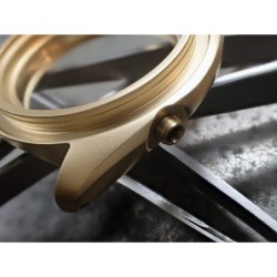 THE-200-NCR-ONE SATIN GOLD NCR / NO CROWN GUARD / 200 meters SKX SPARE CASE C-02-GG