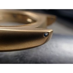 THE-200-NCR-ONE SATIN GOLD NCR / NO CROWN GUARD / 200 meters SKX SPARE CASE C-02-GG